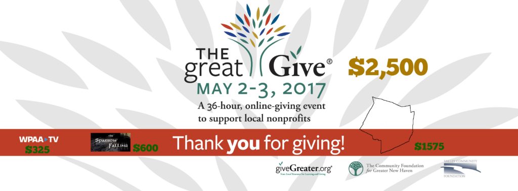 #theGreatGive2017