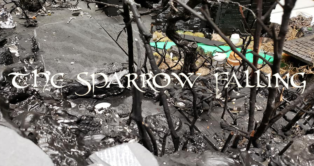 set_sparrow